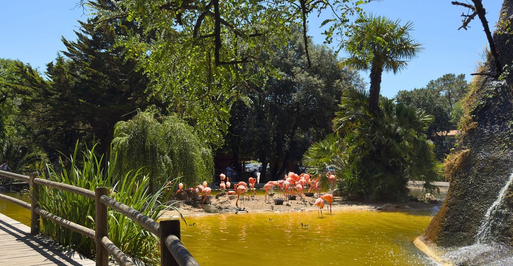 Zoo de La Palmyre