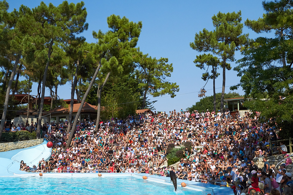 alentours.zoo.p1Alt