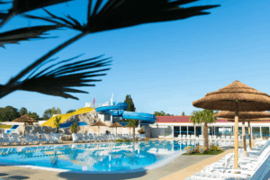Piscine avec vue sur les palmiers