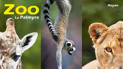 Zoo La Palmyre